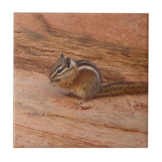 Zion Chipmunk auf roten Felsen Fliese (Vorderseite)