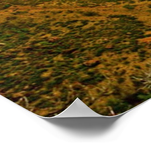 Zion Engel Landung utah Poster AUS 8,99 (Ecke)