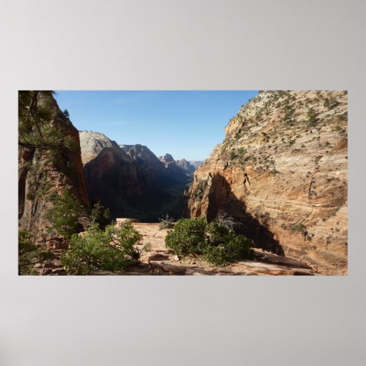 Zion from Angels Landweg Zion Nationalpark Poster (Vorne)
