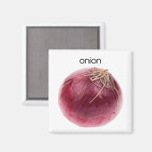 Zion Kühlschrank Magnet (Vorderseite/Rückseite)