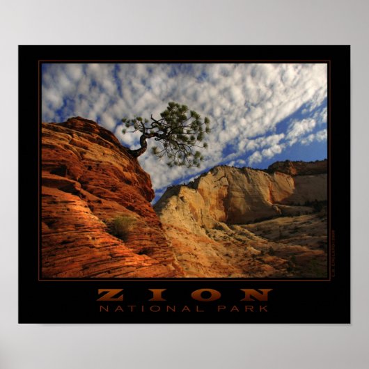 Zion Lone Tree Poster (Vorne)