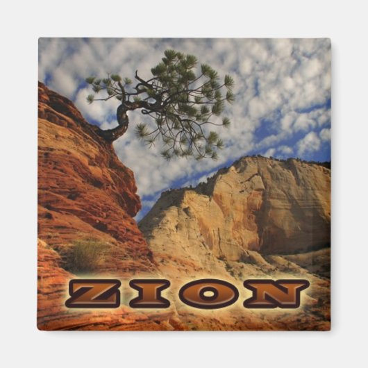 Zion Magnate Magnet (Vorne)