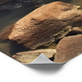 Zion Mountain Stream Poster (Ecke)