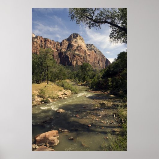 Zion Mountain Stream Poster (Vorne)