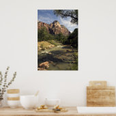 Zion Mountain Stream Poster (Küche)