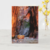 Zion Narrows Boulder Utah Blank Greeting Card Karte (Gelbe Blume)
