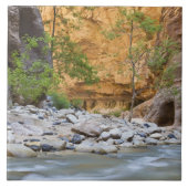 Zion Narrows Fliese (Vorderseite)