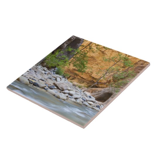 Zion Narrows Fliese (Seite)