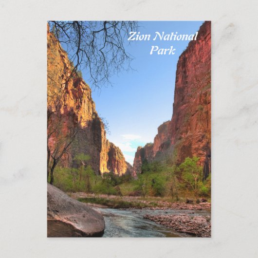 Zion National Park Postcard Postkarte (Vorderseite)