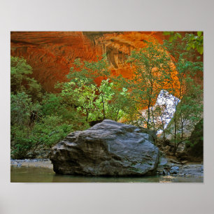 Zion National Park Rock in der Jungfrau Poster