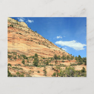 Zion National Park, Utah Canyon View Postkarte
