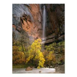 Zion National Park, Utah. USA. Ephemeral Fotodruck