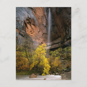 Zion National Park, Utah. USA. Ephemeral Postkarte