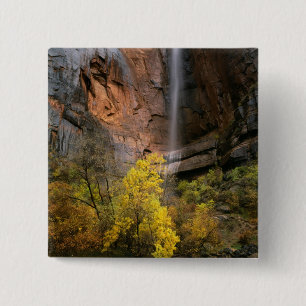 Zion National Park, Utah. USA. Vergänglich Button
