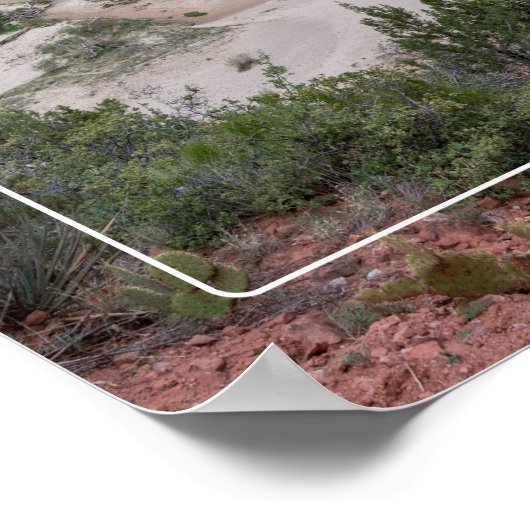 Zion-Nationalpark Poster (Ecke)