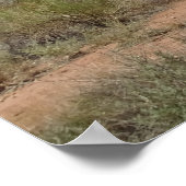 Zion-Nationalpark Poster (Ecke)