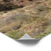 Zion-Nationalpark Poster (Ecke)