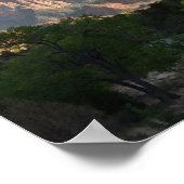 Zion-Nationalpark Poster (Ecke)