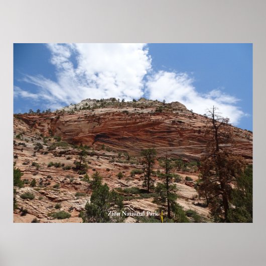 Zion-Nationalpark Poster (Vorne)