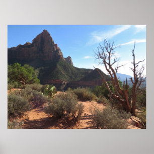 Zion-Nationalpark Poster