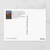 Zion-Nationalpark Postkarte (Rückseite)