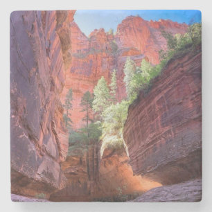 Zion-Nationalpark, Utah, USA Steinuntersetzer