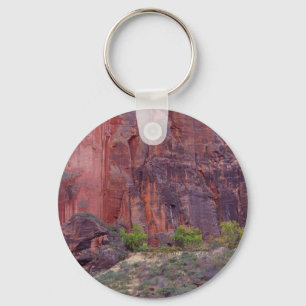 Zion Schlucht-große Biegungs-Klippen rot Schlüsselanhänger