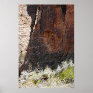 Zion Schlucht Poster