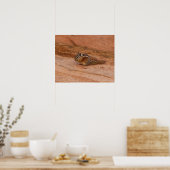 Zion-Streifenhörnchen auf rotem Felsgestein Poster (Küche)