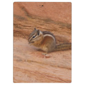 Zion-Streifenhörnchen auf roten Felsen Klemmbrett (Rückseite)
