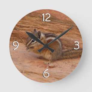 Zion-Streifenhörnchen auf roten Felsen Runde Wanduhr