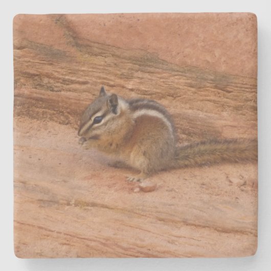 Zion-Streifenhörnchen auf roten Felsen Steinuntersetzer (Vorderseite)