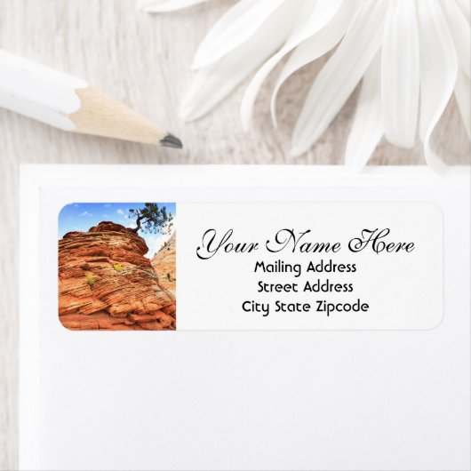 Zion Tree Rücksendeadresse (Insitu)