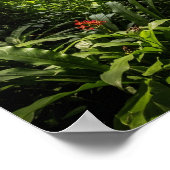 Zip-Lining Jungle Canopy Poster (Ecke)