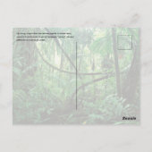 Zipline Postkarte (Rückseite)