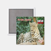 zIR006 PERSIAN LEOPARD, Iran, Asien, Kühlschrank Magnet (Vorderseite/Rückseite)