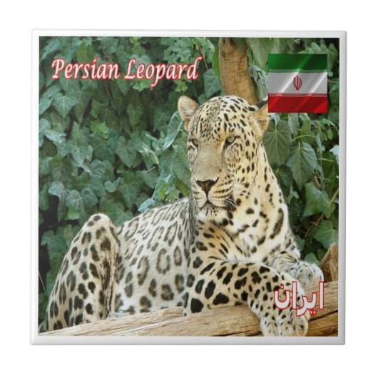 zIR06 PERSIAN LEOPARD, Iran, Asien, Fliese (Vorderseite)