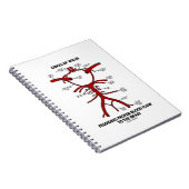 Zirkel des Willis, der ein angemessenes Blut-Flow- Notizblock (Rechte Seite)