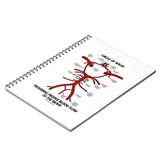 Zirkel des Willis, der ein angemessenes Blut-Flow- Notizblock (Linke Seite)