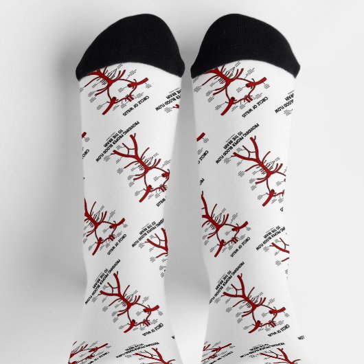 Zirkel des Willis, der ein angemessenes Blut-Flow- Socken (Oben)