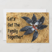 Zirkel von Schwarzen und Weißen Hühnern Eating Wat Einladung (Vorderseite)