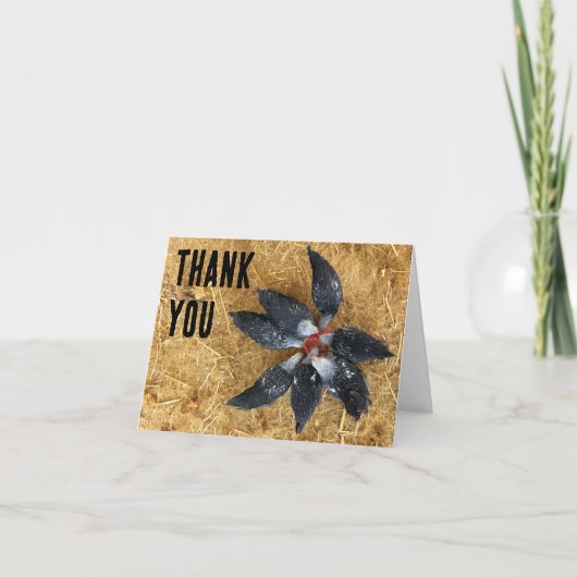 Zirkel von Schwarzen und Weißen Hühnern Eating Wat Karte (Vorderseite)