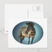Zirkuläre Zebra-Postkarte Postkarte (Vorne/Hinten)