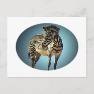 Zirkuläre Zebra-Postkarte Postkarte