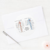 Zirkulatorisches System der Arterien und Venen Runder Aufkleber (Umschlag)