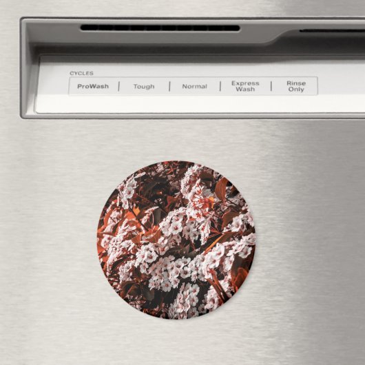 Zirkulonmagnet Magnet (In Situ (Geschirrspüler))