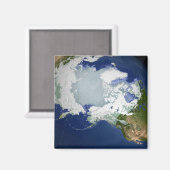 Zirkus-Arktische Permafrost Magnet (Vorderseite/Rückseite)