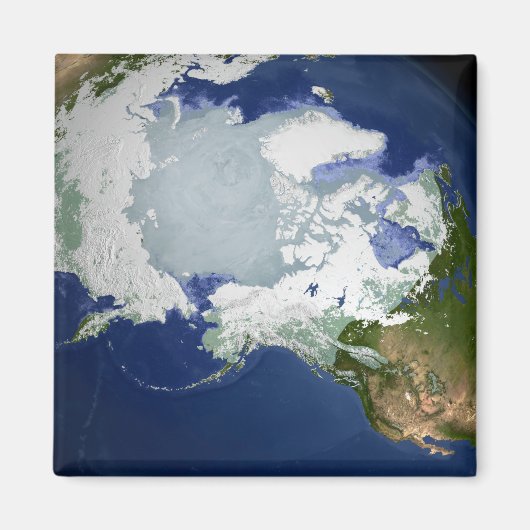 Zirkus-Arktische Permafrost Magnet (Vorne)