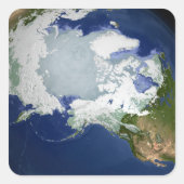 Zirkus-Arktische Permafrost Quadratischer Aufkleber (Vorderseite)