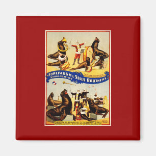 Zirkus der Vergangenheit - Seelöwen und Seehunde Magnet